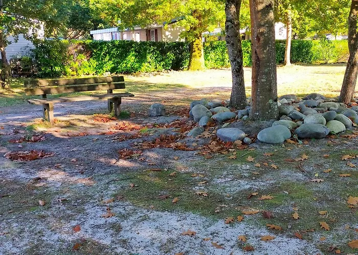 Camping Mobilhome Lame *